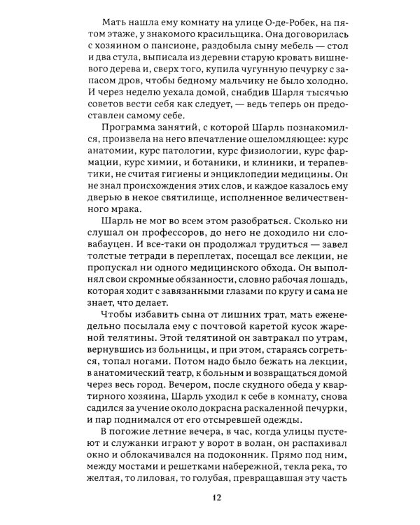 Госпожа Бовари: роман