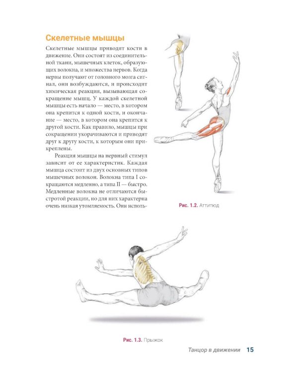Анатомия танца