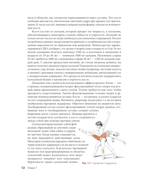 Анатомия танца