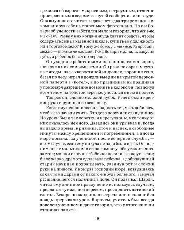 Госпожа Бовари: роман