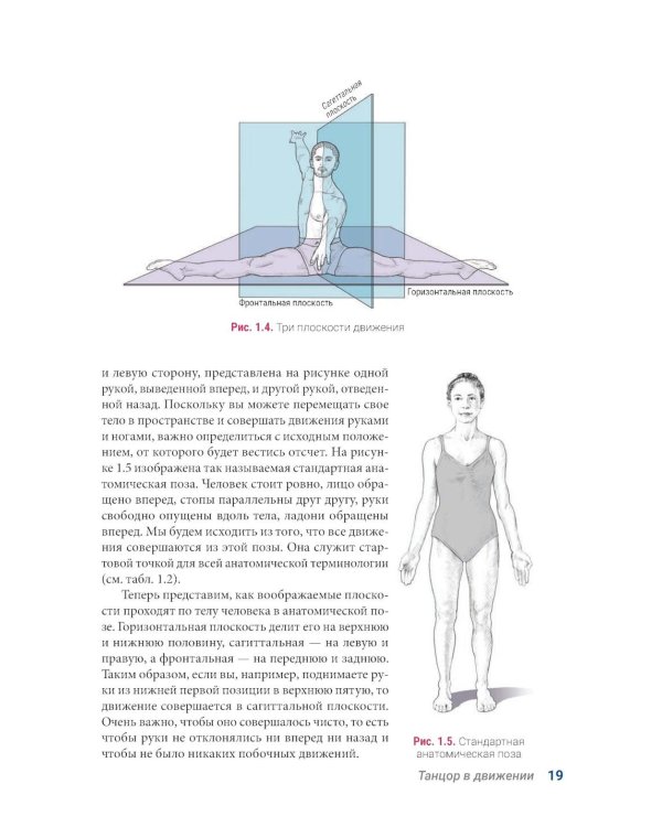 Анатомия танца