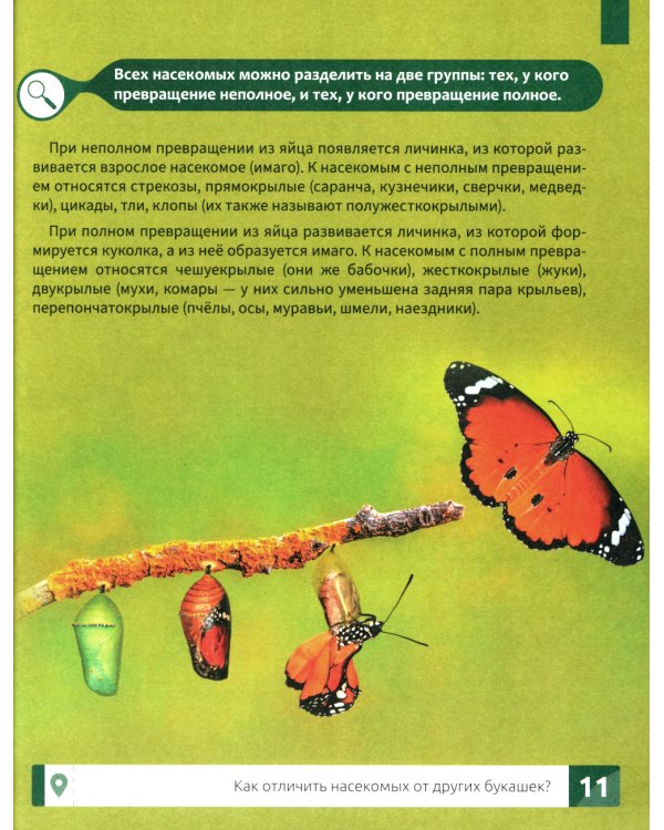 Насекомые: самая умная энциклопедия