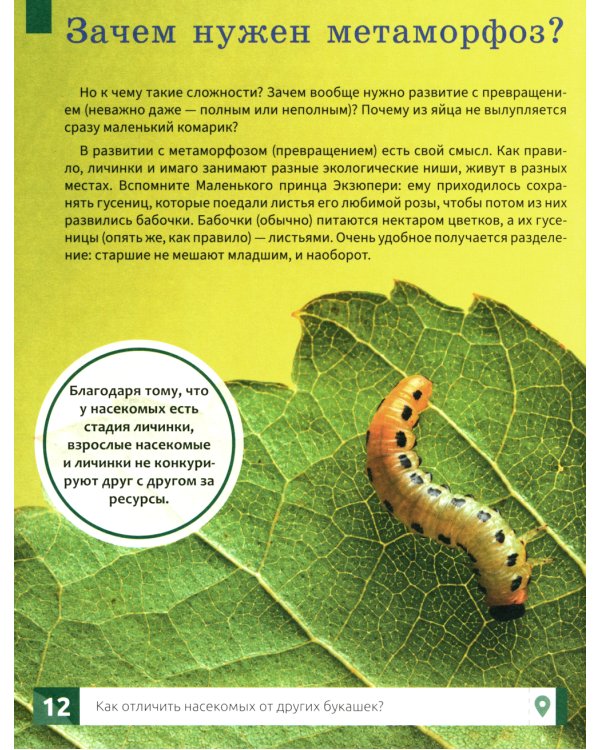 Насекомые: самая умная энциклопедия