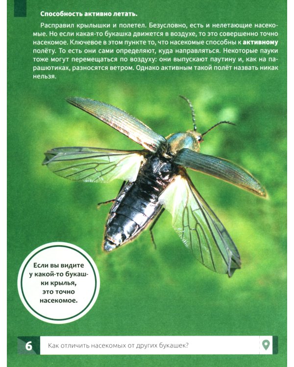 Насекомые: самая умная энциклопедия