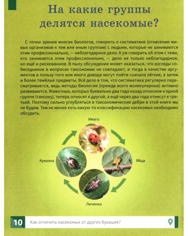 Насекомые: самая умная энциклопедия