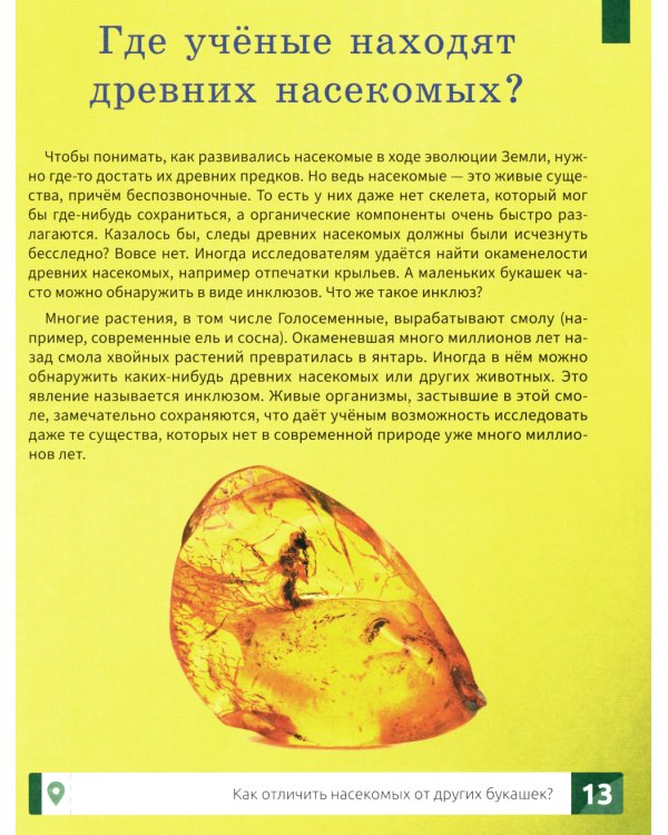 Насекомые: самая умная энциклопедия