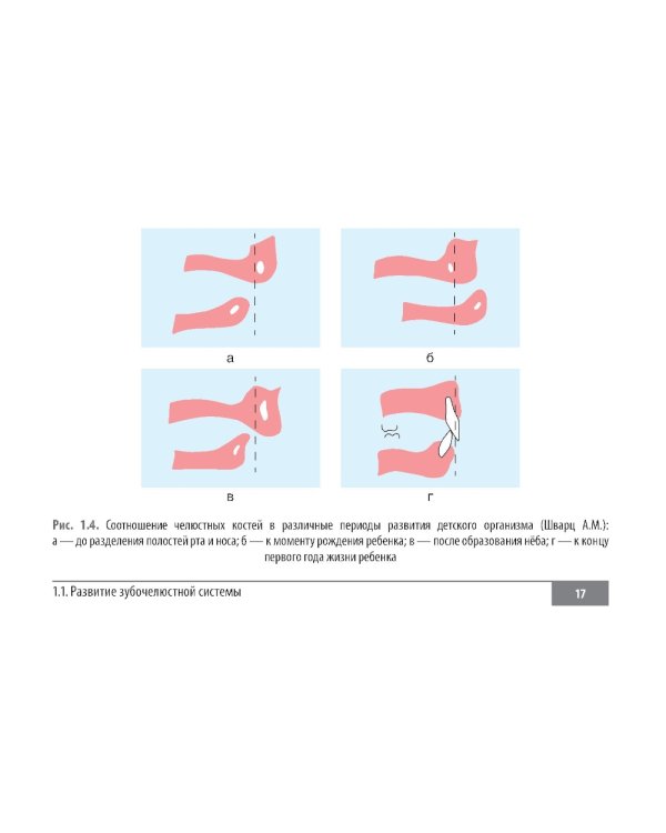 Клинические нормы. Стоматология