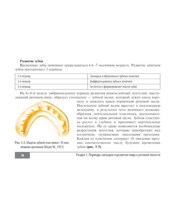 Клинические нормы. Стоматология