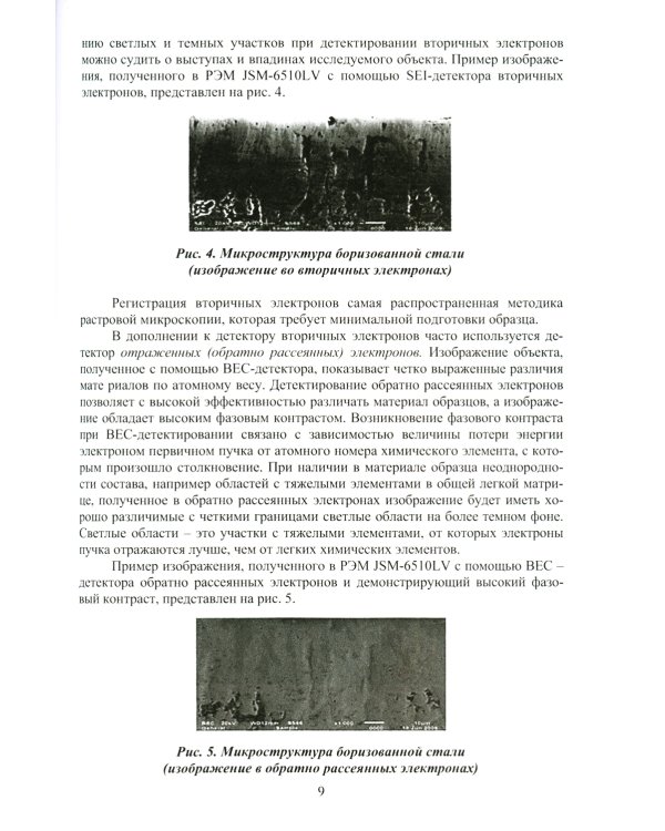 Растровая электронная микроскопия как инструмент решения инженерных задач в сварке: Учебное пособие
