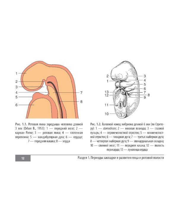 Клинические нормы. Стоматология