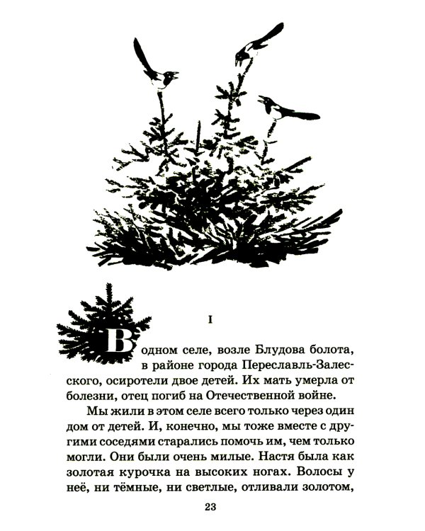 Кладовая солнца: сказка-быль и рассказы