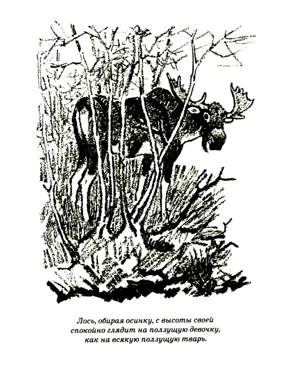 Кладовая солнца: сказка-быль и рассказы