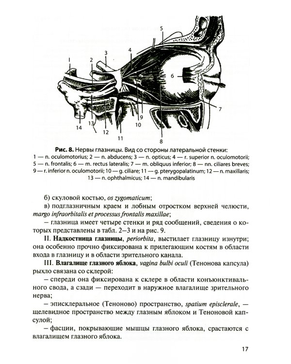 Функциональная анатомия органов чувств: Учебное пособие. 8-е изд., перераб. и доп