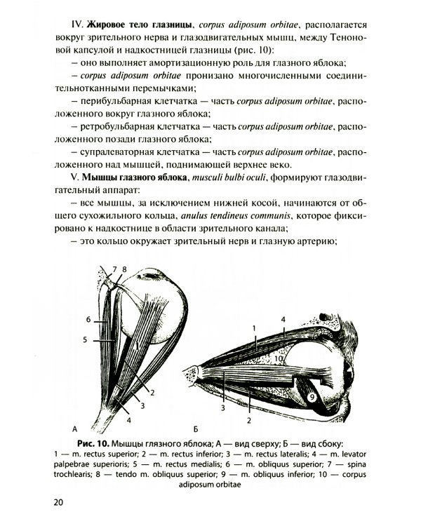 Функциональная анатомия органов чувств: Учебное пособие. 8-е изд., перераб. и доп