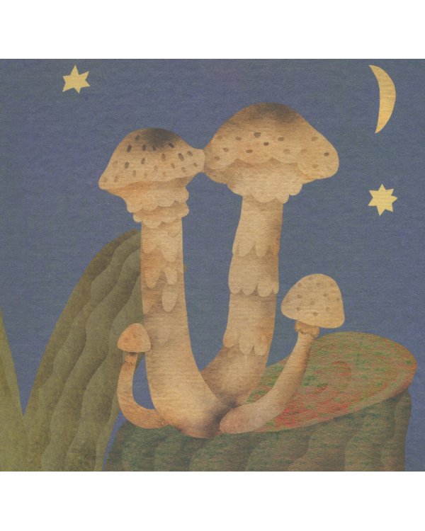 Где твой гриб?