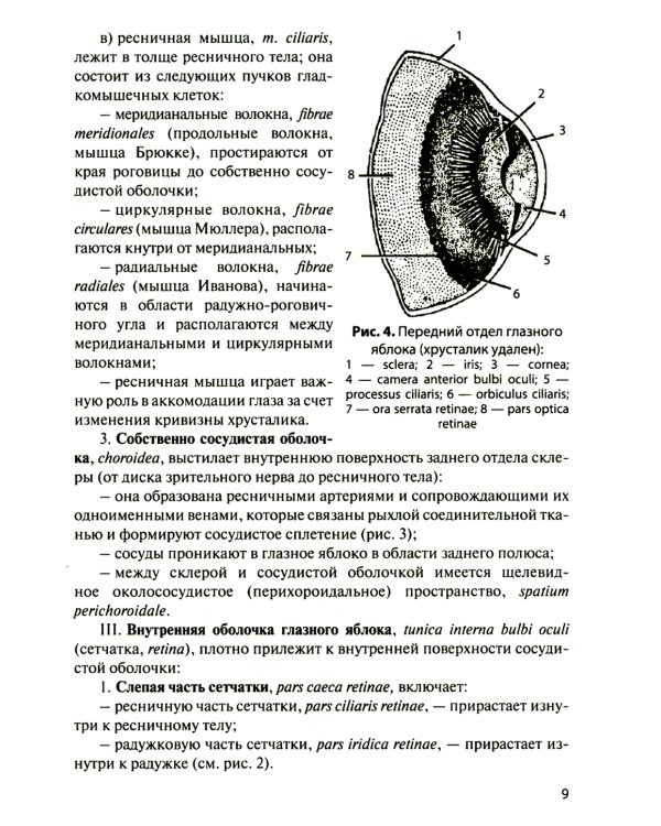 Функциональная анатомия органов чувств: Учебное пособие. 8-е изд., перераб. и доп