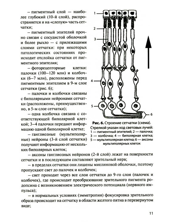 Функциональная анатомия органов чувств: Учебное пособие. 8-е изд., перераб. и доп