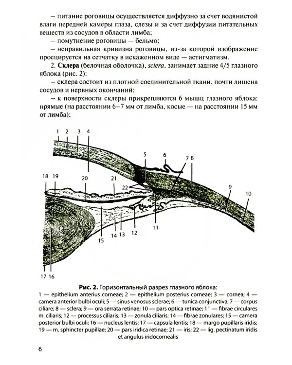 Функциональная анатомия органов чувств: Учебное пособие. 8-е изд., перераб. и доп