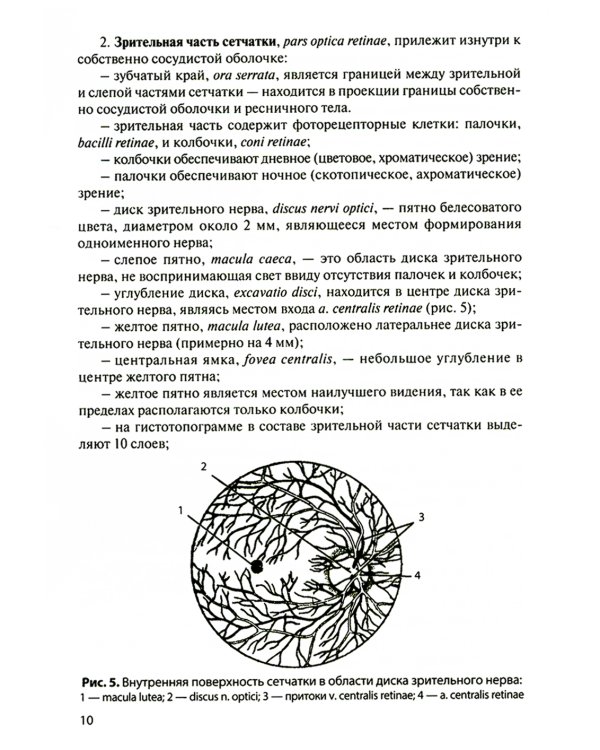 Функциональная анатомия органов чувств: Учебное пособие. 8-е изд., перераб. и доп