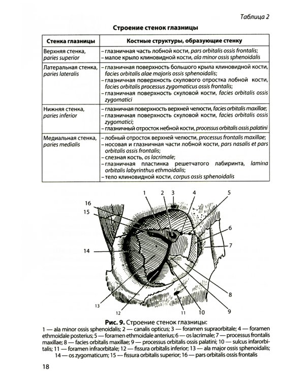 Функциональная анатомия органов чувств: Учебное пособие. 8-е изд., перераб. и доп