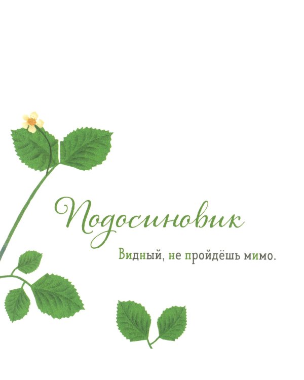 Где твой гриб?