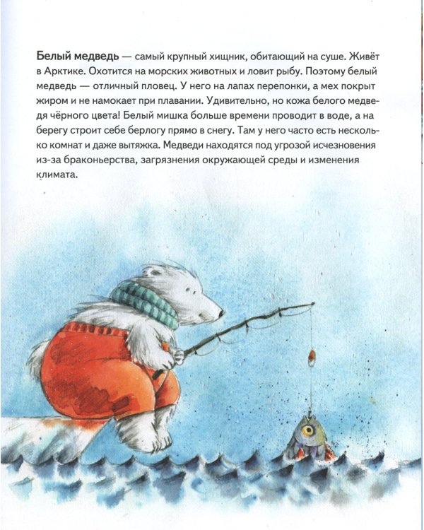 Чудо в Новый год. Как Белый Мишка нашёл друзей