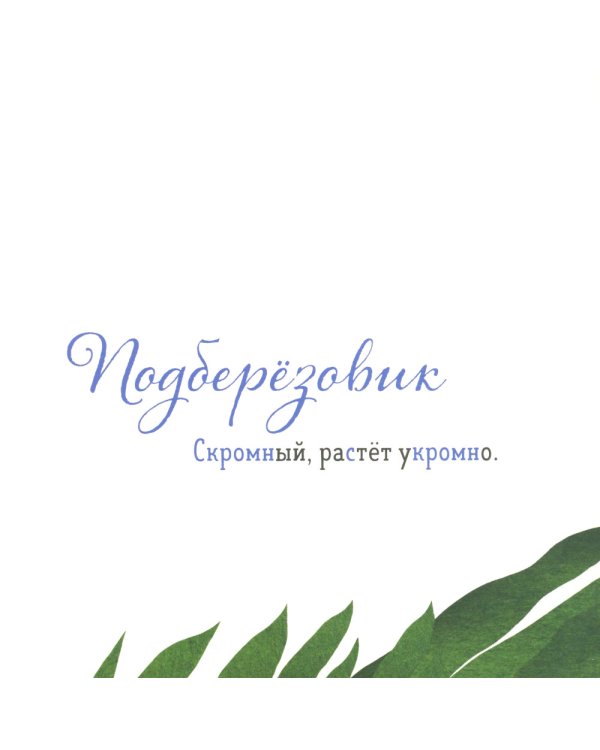 Где твой гриб?