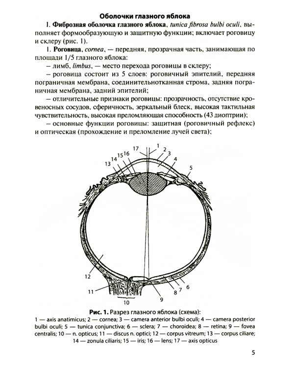 Функциональная анатомия органов чувств: Учебное пособие. 8-е изд., перераб. и доп