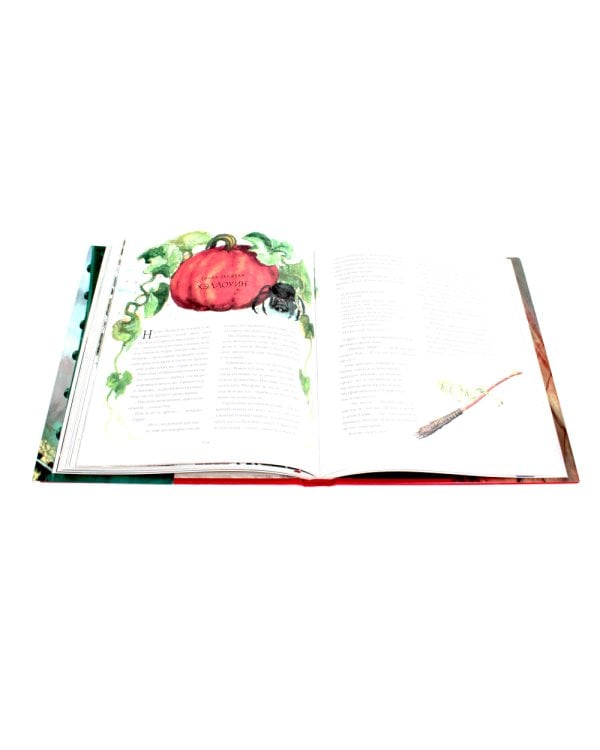 Гарри Поттер и Философский камень; Гарри Поттер и Тайная комната (с цветными иллюстрациями) (комплект из 2-х книг)