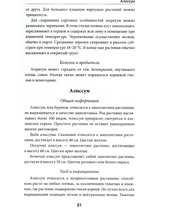 Выращиваем однолетние садовые цветы