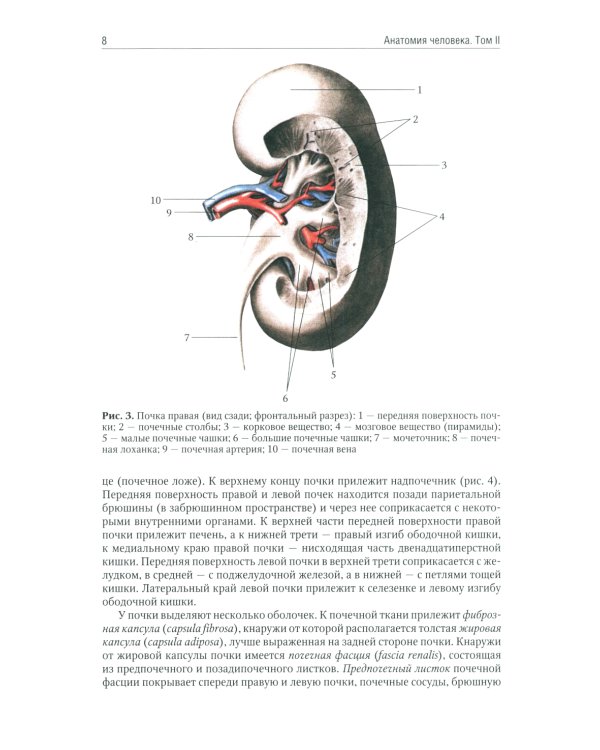 Анатомия человека: Учебник. В 2 т (комплект из 2-х книг)