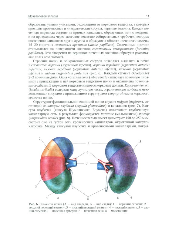 Анатомия человека: Учебник. В 2 т (комплект из 2-х книг)