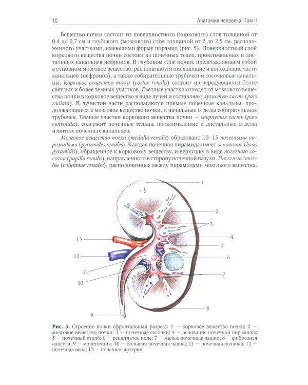 Анатомия человека: Учебник. В 2 т (комплект из 2-х книг)
