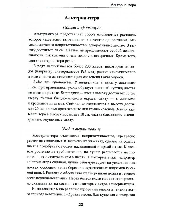 Выращиваем однолетние садовые цветы