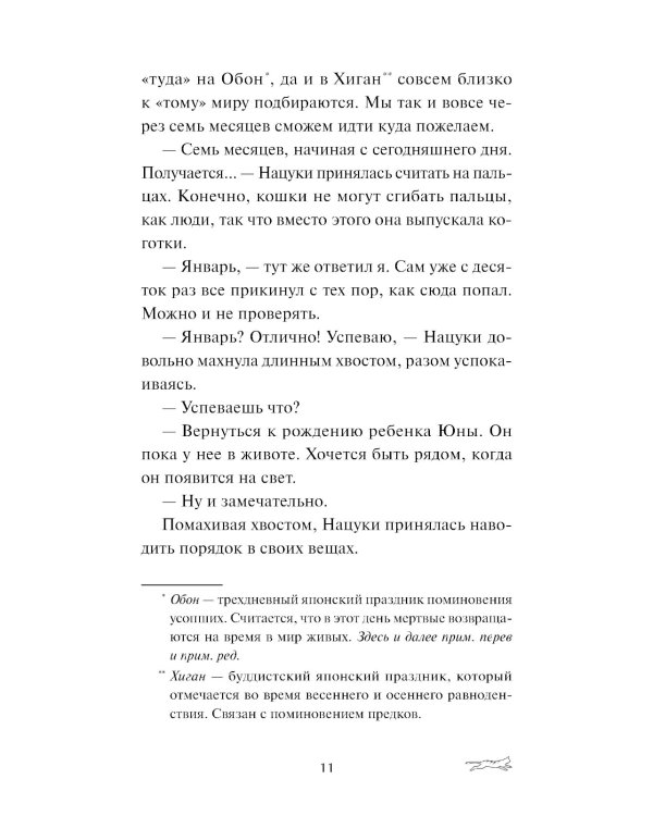 Рыжий кот Фута из кафе между мирами