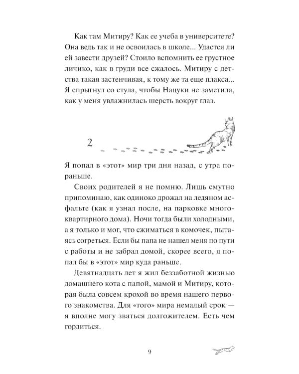 Рыжий кот Фута из кафе между мирами