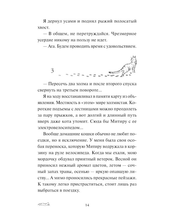 Рыжий кот Фута из кафе между мирами