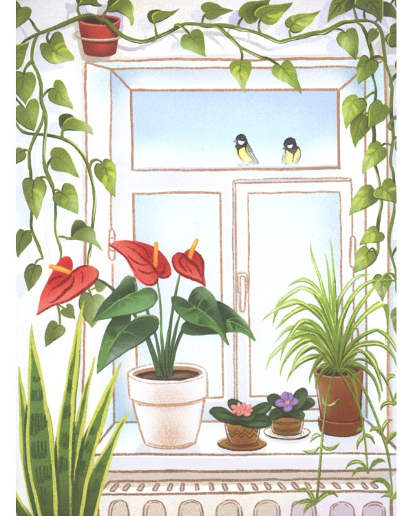 Одуванечка, или Чудо ботаники