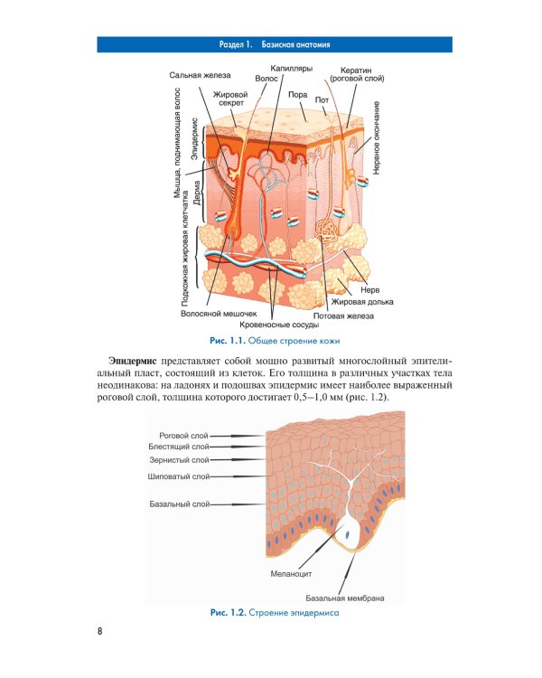 Массаж. Атлас-справочник. Диагностика, лечение, профилактика