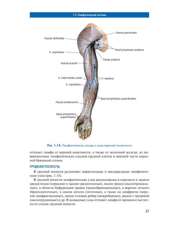 Массаж. Атлас-справочник. Диагностика, лечение, профилактика