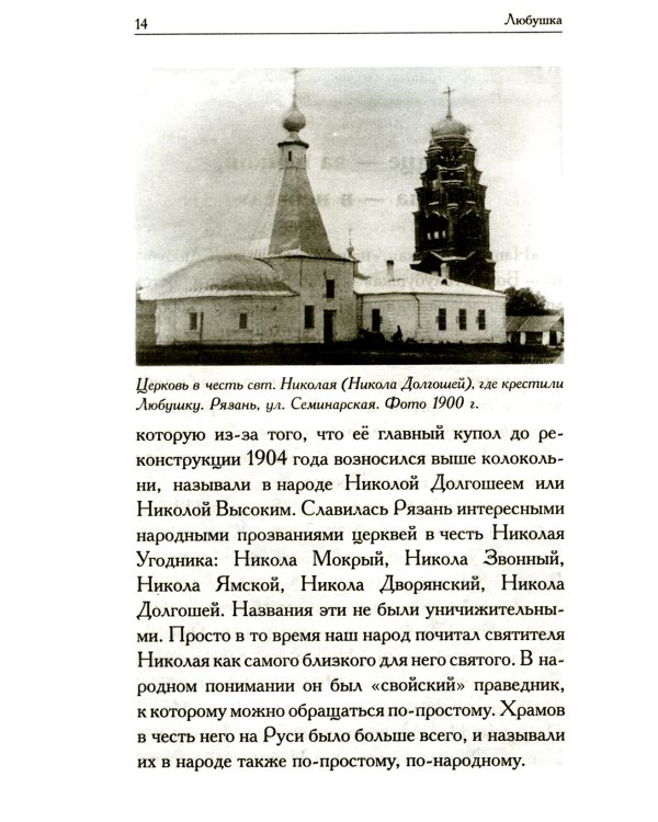 Любушка. Рассказы о рязанской блаженной (с приложением акафиста)