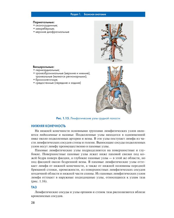 Массаж. Атлас-справочник. Диагностика, лечение, профилактика