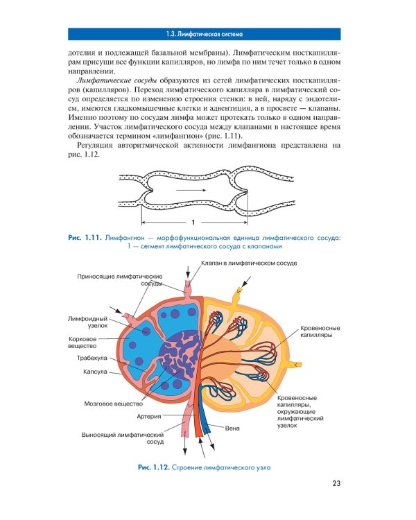 Массаж. Атлас-справочник. Диагностика, лечение, профилактика