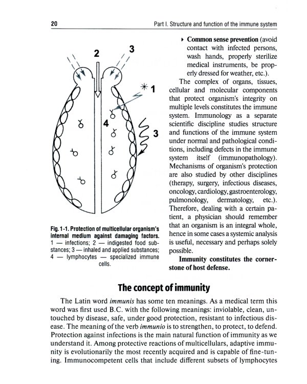 Immunology = Иммунология: textbook. 2-е изд., перераб. (кн. на англ. яз.)