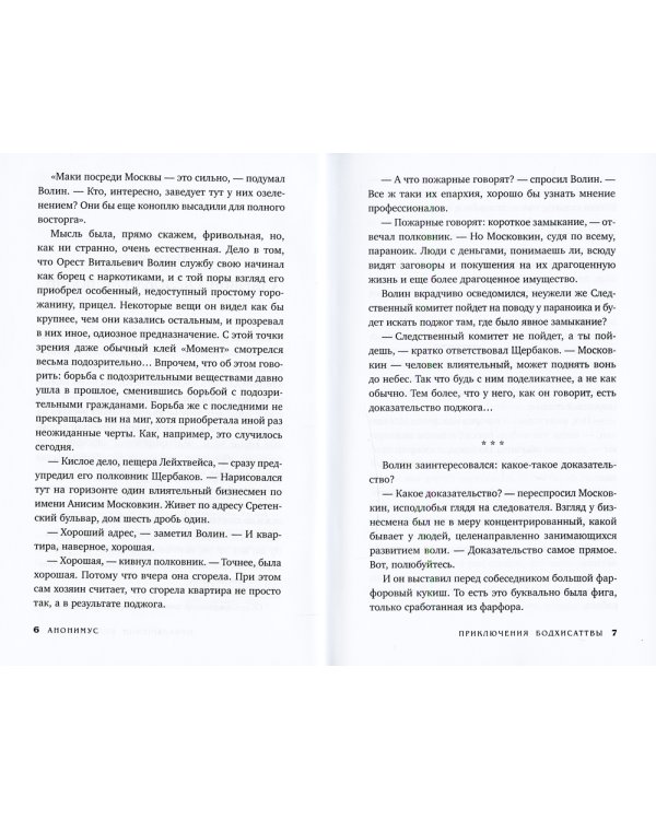 Приключения бодхисаттвы: роман