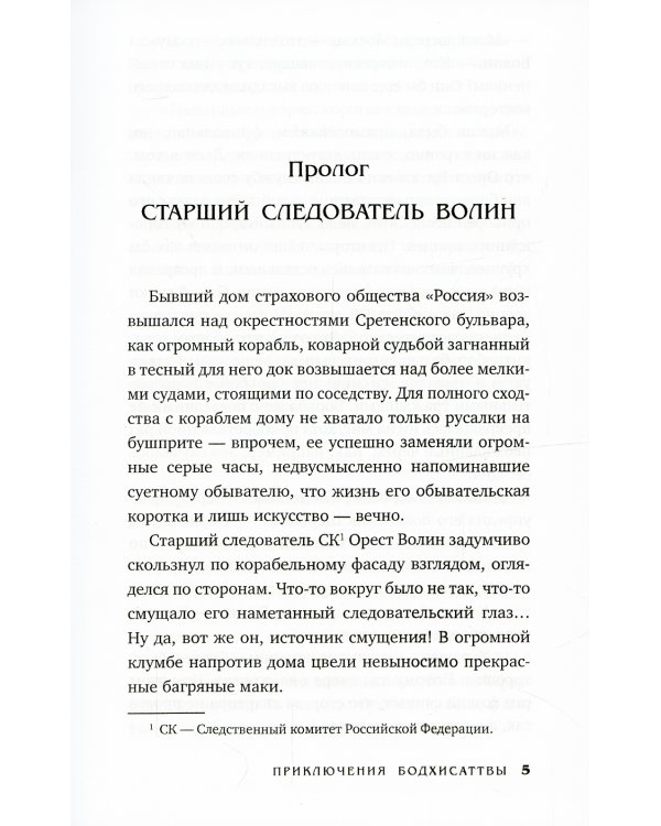 Приключения бодхисаттвы: роман