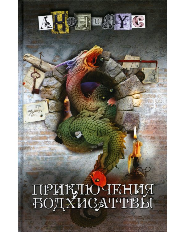 Приключения бодхисаттвы: роман