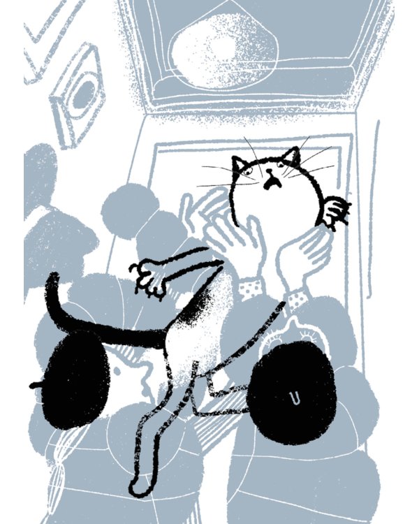 Эркюль. Кот-сыщик. Вор на крыше