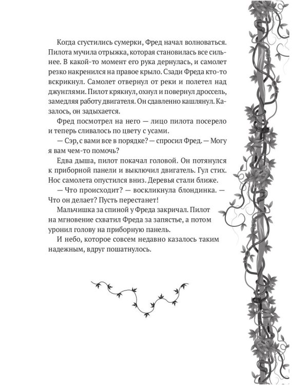 Исследователь: роман