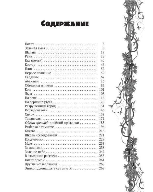 Исследователь: роман